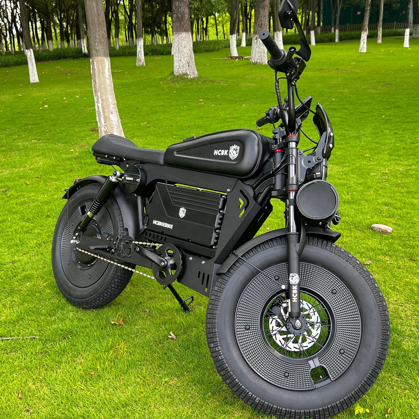 Free Shipping High-end HCBK Black Warrior 3000 Watt Electric Bike Warrior 60AH Removable Battery 20 Inch Adult Electric Bike