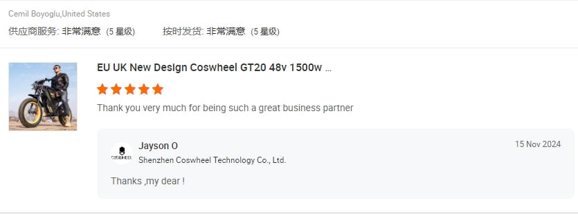 Coswheel GT20 Long Range E Bike Battery Fast Fat Tire Electr Bike Factory Direct 1500W Power Cheap E Bike Mountain Ebike Fatbike
