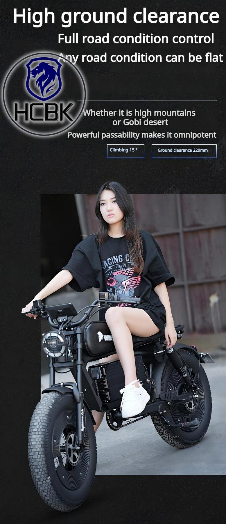 USA Warehouse Black Warrior 3000W  20 Inch  Fat Tyre Electric Folding Bike Double Hydraulic Brake Adult Electric Bike