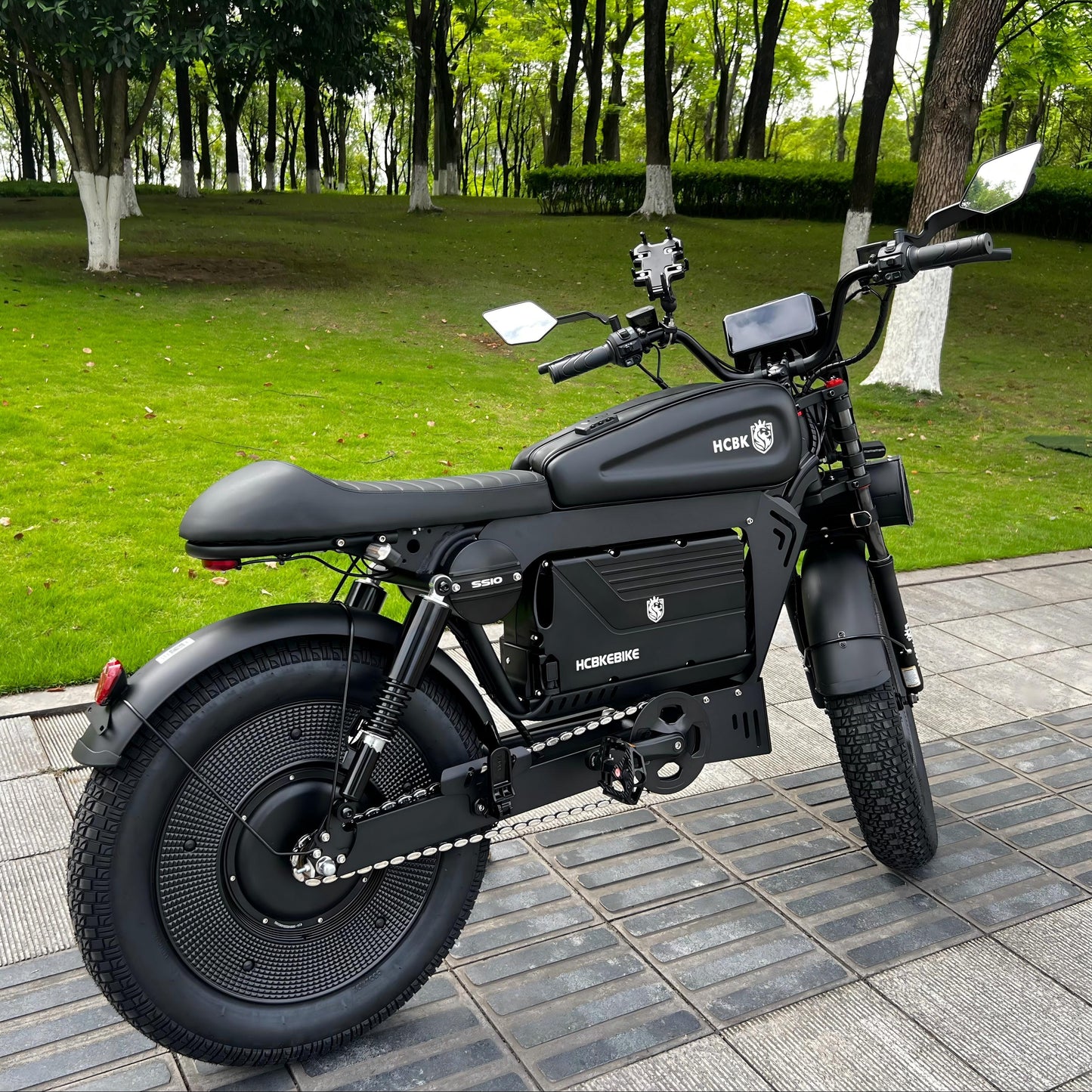 Free Shipping High-end HCBK Black Warrior 3000 Watt  Electric Bike Warrior 60AH Removable Battery  20 Inch Adult Electric Bike