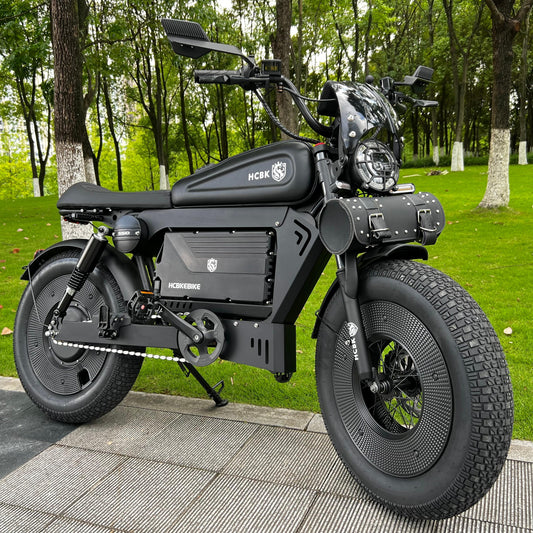 Free Shipping High-end HCBK Black Warrior 3000 Watt  Electric Bike Warrior 60AH Removable Battery  20 Inch Adult Electric Bike