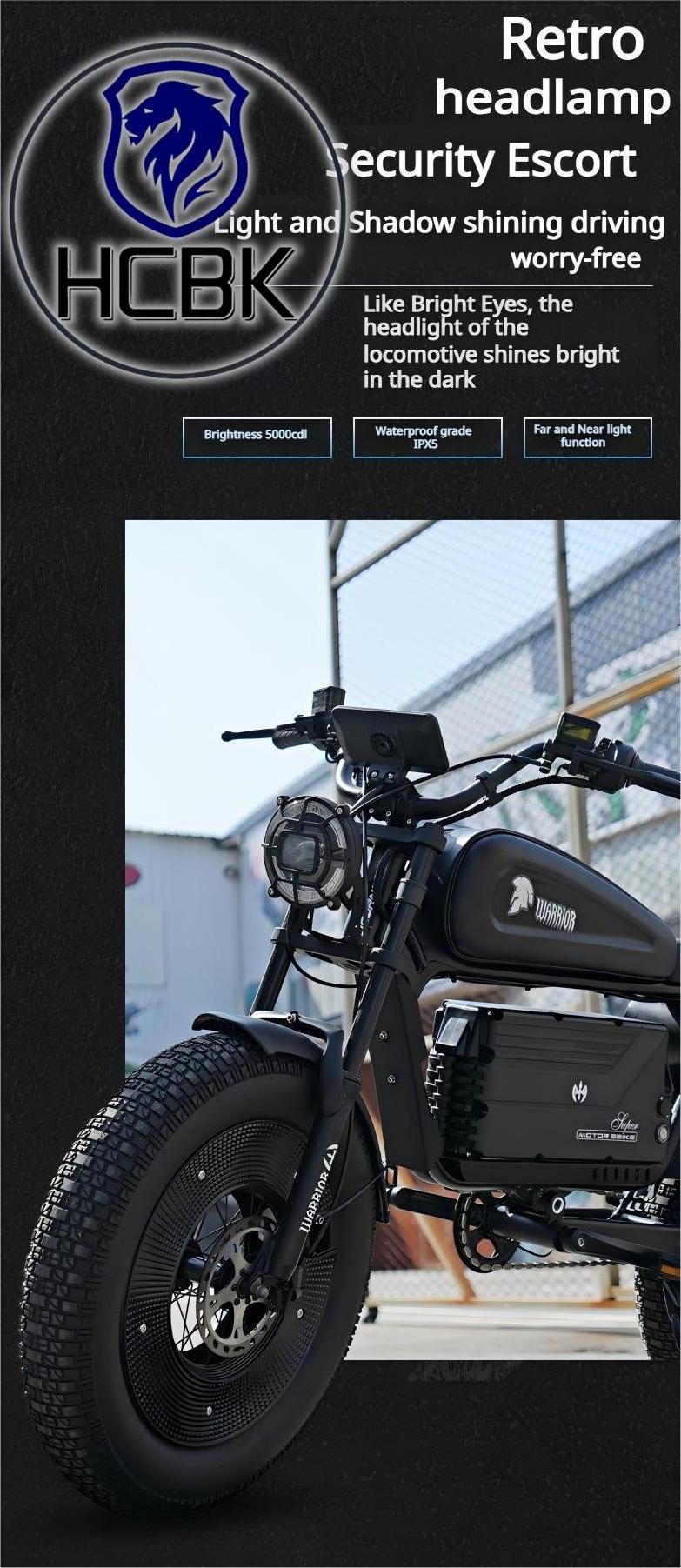 Free Shipping High-end HCBK Black Warrior 3000 Watt  Electric Bike Warrior 60AH Removable Battery  20 Inch Adult Electric Bike