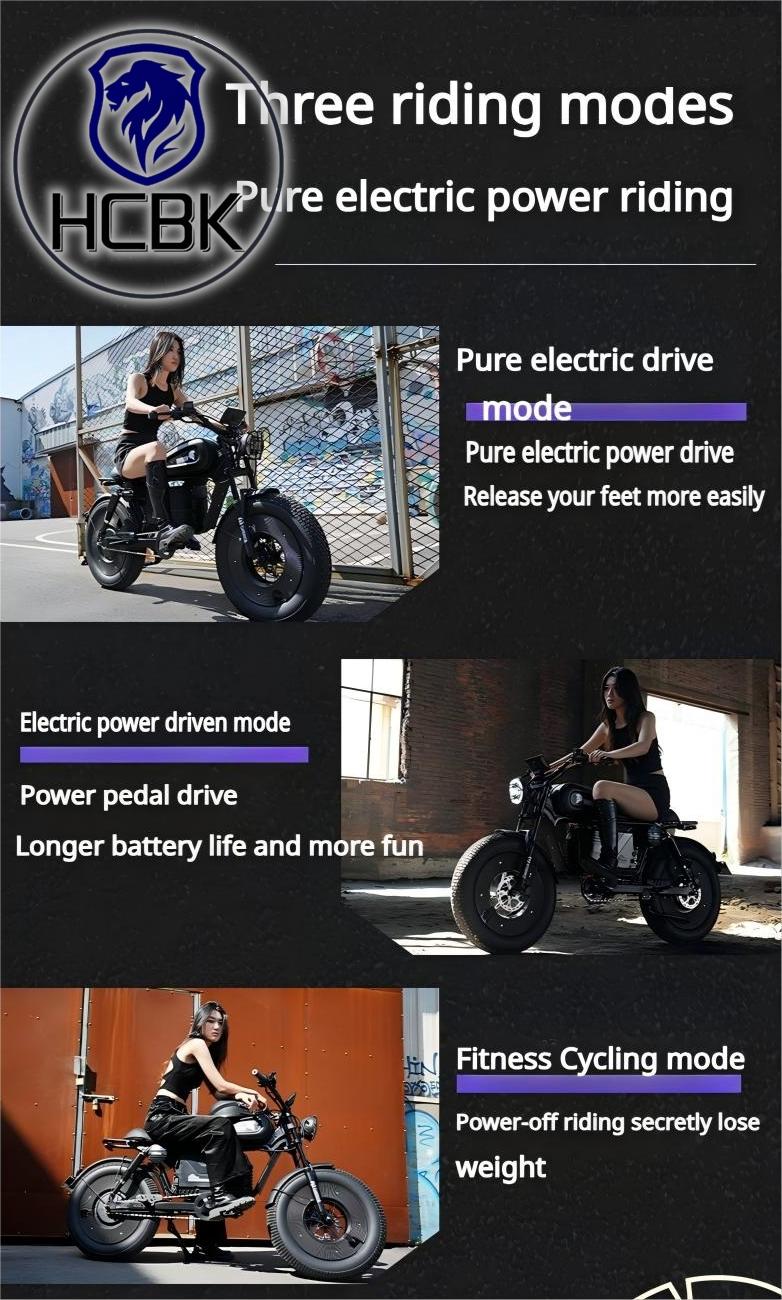 USA Warehouse Black Warrior 3000W  20 Inch  Fat Tyre Electric Folding Bike Double Hydraulic Brake Adult Electric Bike
