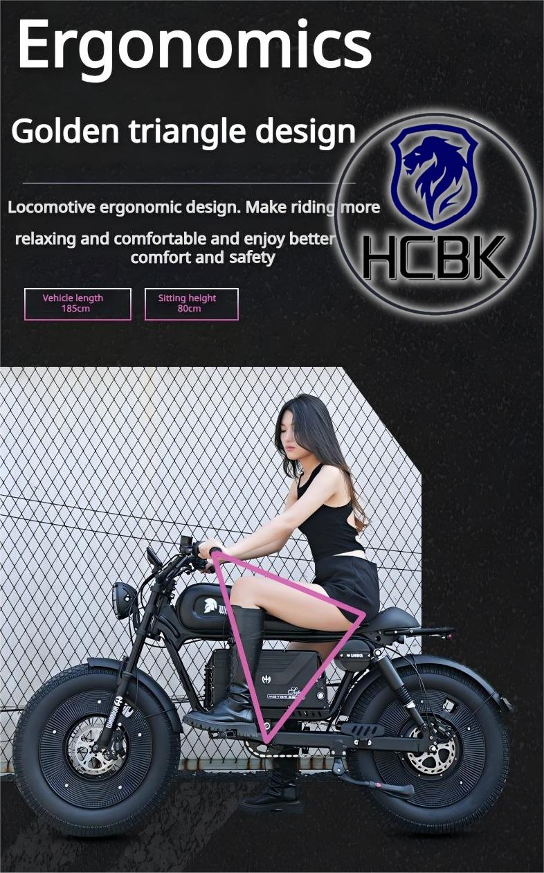 Free Shipping High-end HCBK Black Warrior 3000 Watt  Electric Bike Warrior 60AH Removable Battery  20 Inch Adult Electric Bike