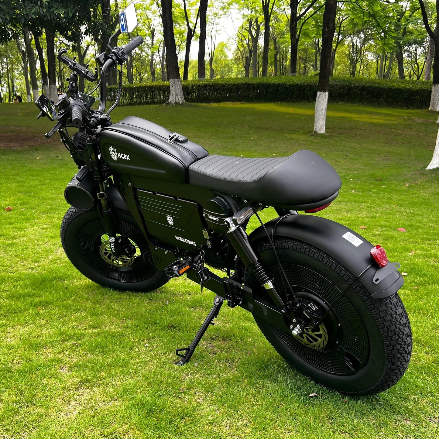 USA Warehouse Black Warrior 3000W  20 Inch  Fat Tyre Electric Folding Bike Double Hydraulic Brake Adult Electric Bike