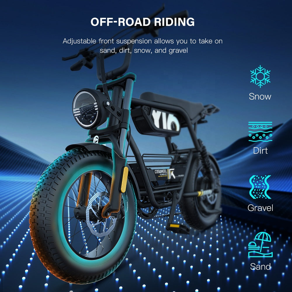 Coswheel Y16 Discount E Bicycle 48V 15AH Battery 750W Motor Electric City Bike for Adults and Olderly
