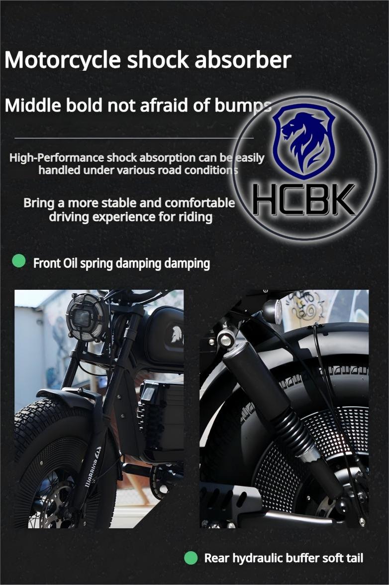 Free Shipping High-end HCBK Black Warrior 3000 Watt  Electric Bike Warrior 60AH Removable Battery  20 Inch Adult Electric Bike