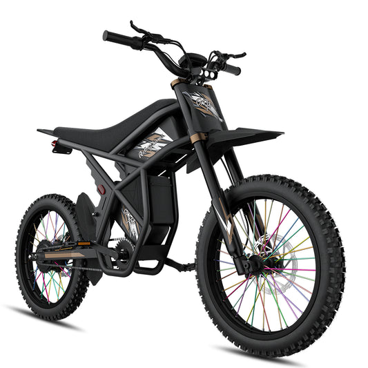 3000W Dirt Electric Bike for City Travel with High Capacity Battery and Fast Charging Double Motor Electric Bike GT73 PRO