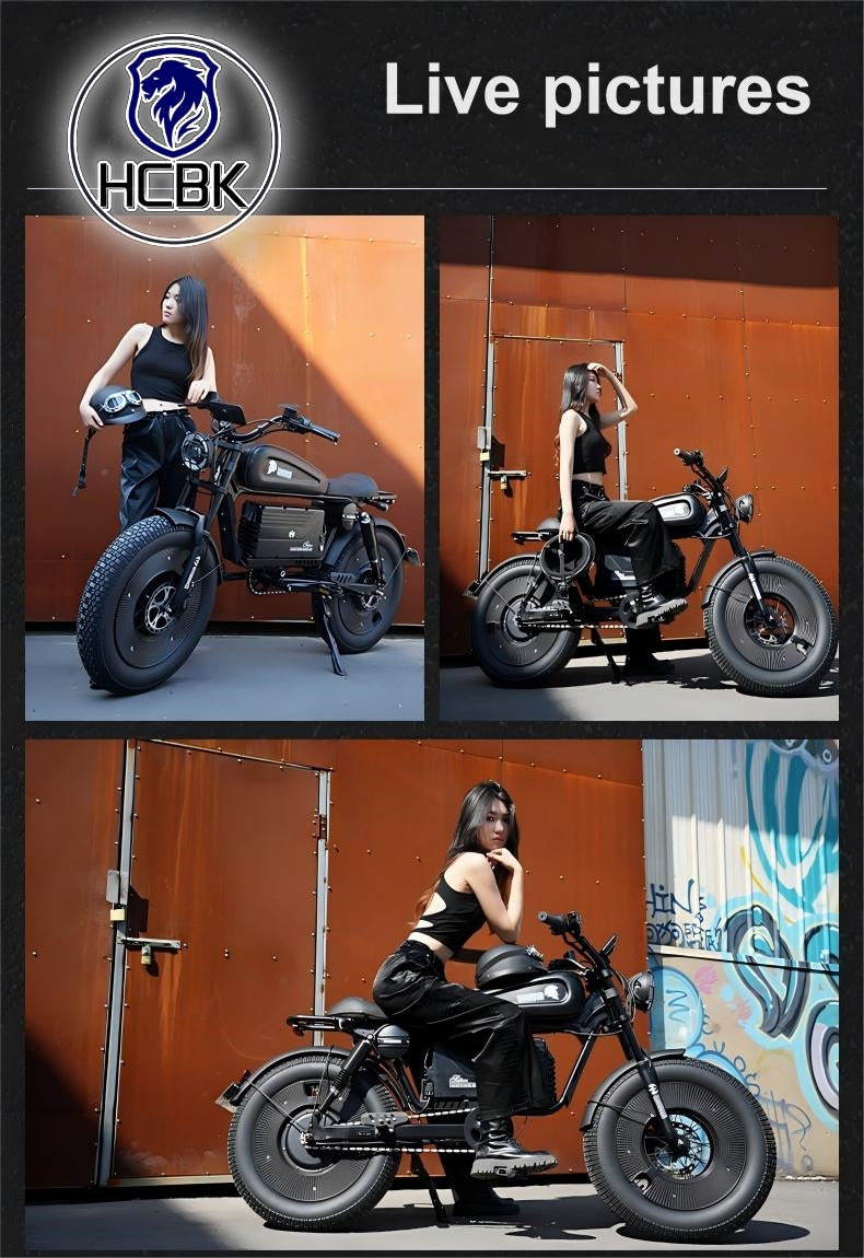 Free Shipping High-end HCBK Black Warrior 3000 Watt  Electric Bike Warrior 60AH Removable Battery  20 Inch Adult Electric Bike